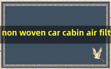 non woven car cabin air filter product